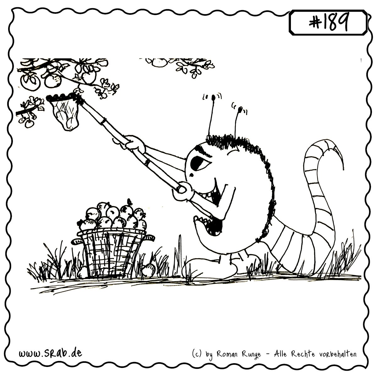 Dieser Srab erntet voller Begeisterung Äpfel mit einem Pflücker vom Baum. Die Szene strahlt ländliche Ruhe und Herbststimmung aus – ideal für Gartenfreunde, Selbstversorger oder DIY-Liebhaber.