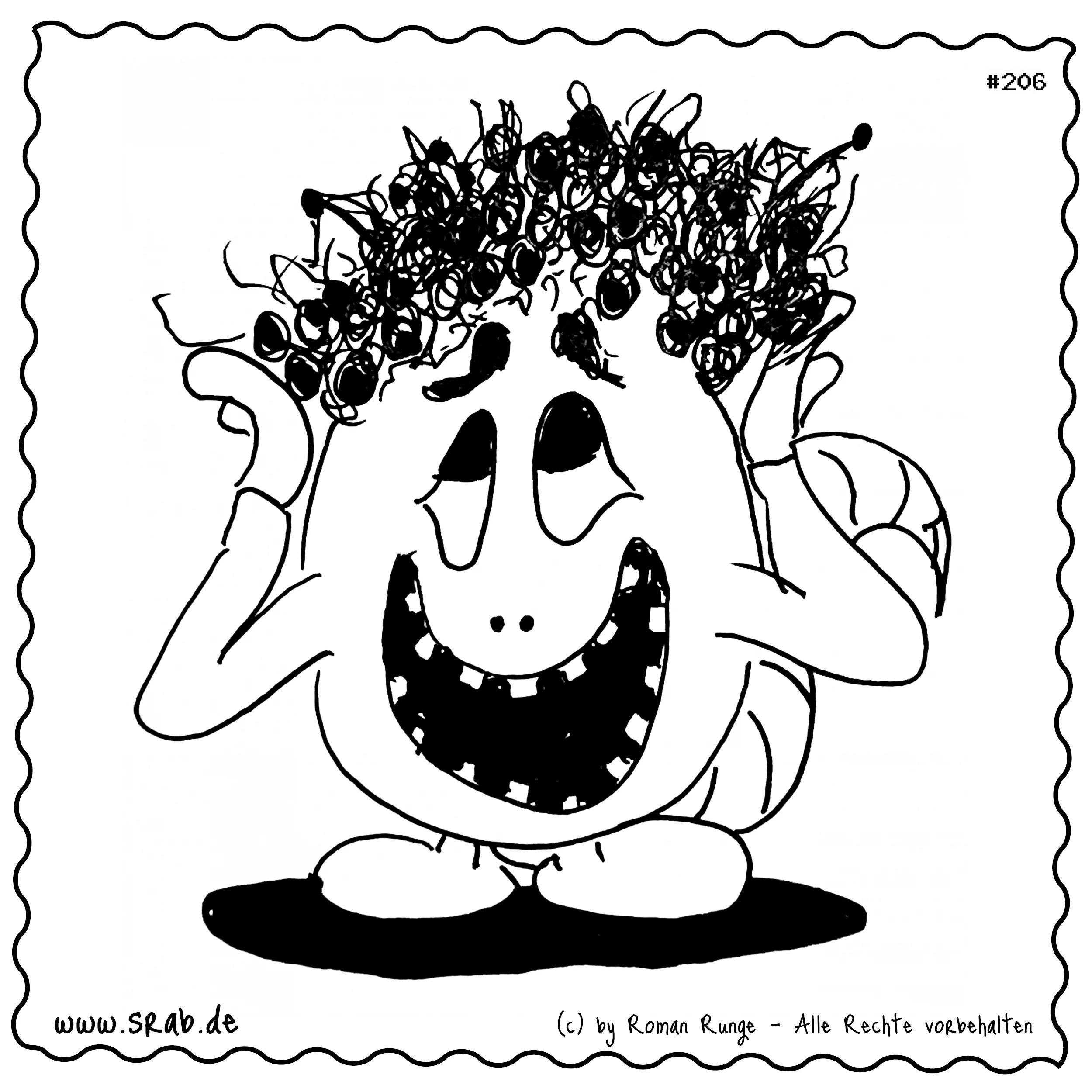 Srab #00206 - Lockenpracht Haare Lockig Fönwelle Charmeur